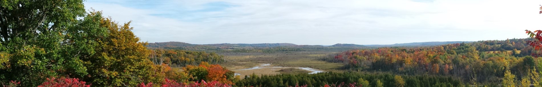 View of Windy River Conservation Area from the viewing platform