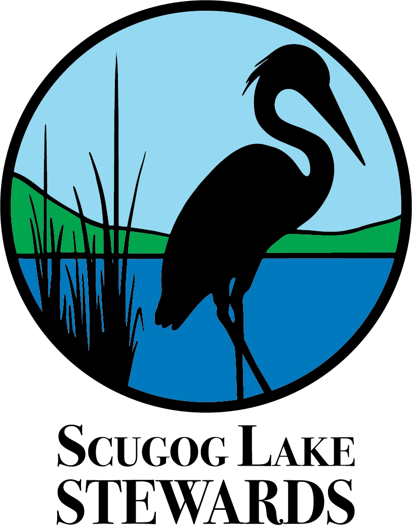 Logo of the Scugog Lake Stewards