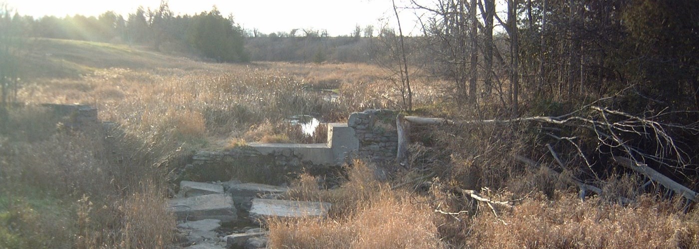 creek partially block by concrete in field